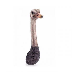 Ostrich Head Wall Figure