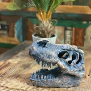 T-Rex Skull Table Decoration