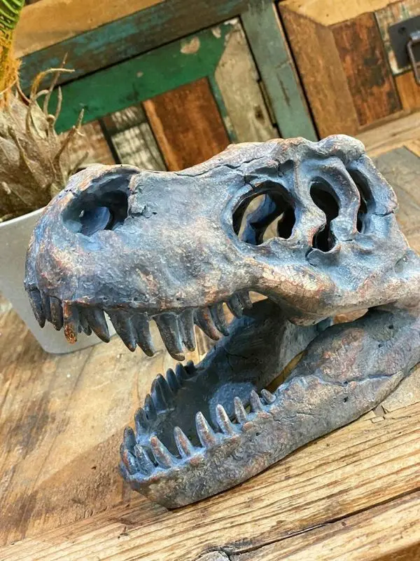 T-Rex Skull Table Decoration - Image 3