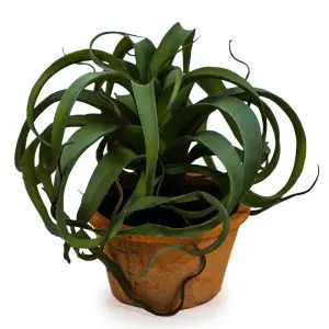 Artificial Succulents in Terracotta Pot Large