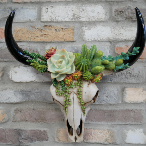 Bison Skull Wall Decoration with Succulents - Large