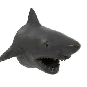 SHARK HEAD