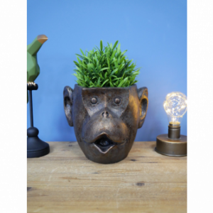 Monkey Head Planter