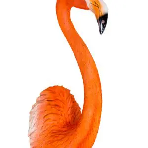 LARGE FLAMINGO WALL HEAD