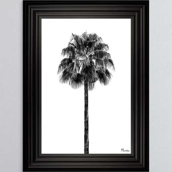 Black and White Palm Tree Wall Art