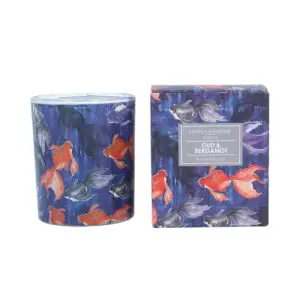 Scented Boxed Candle 8.5cm - Fantail