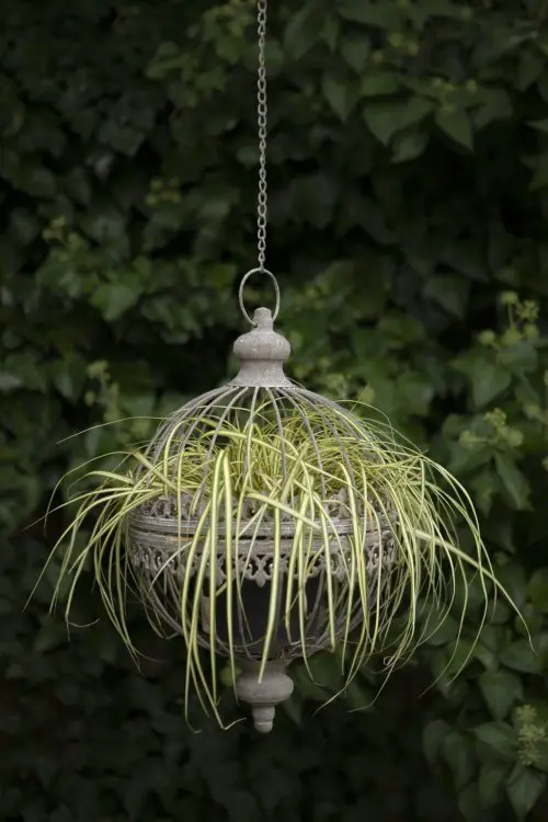 Floral Orb Planters Set of 2