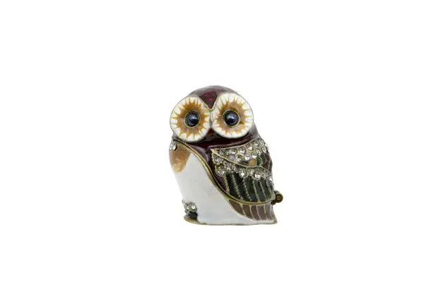 Owl Trinket Box