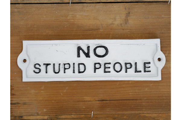 Cast iron No Stupid People sign