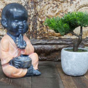 Praying Monk