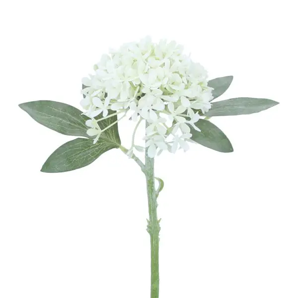 Antique White Hydrangea