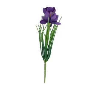 Spray 30cm - Purple Crocus