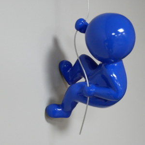 Abseiling Ball Head