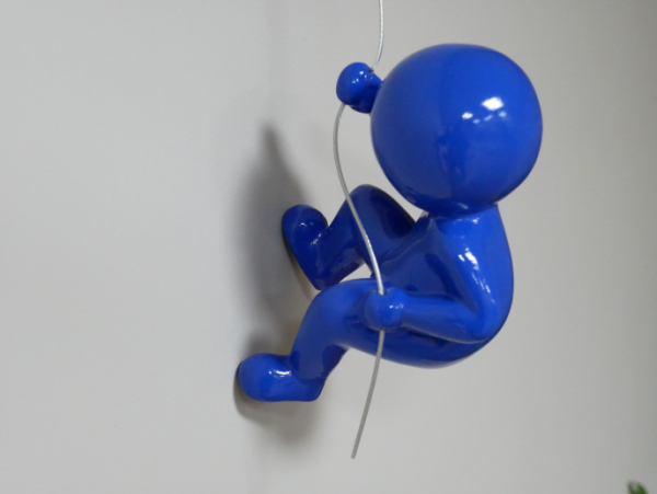 Abseiling Ball Head