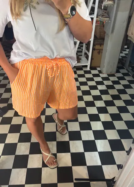 Neon Stripe Shorts in 4 Colours