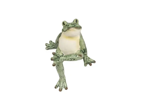 Shelf Frog - Image 3
