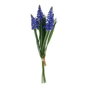 Bunch 27cm - Blue Muscari