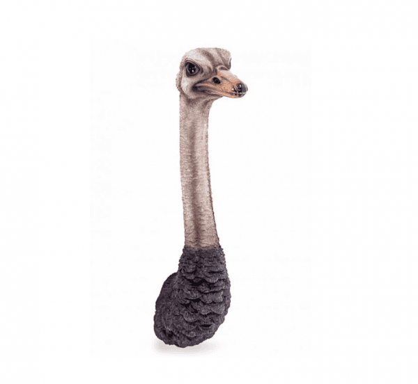 Ostrich Head Wall Figure - Image 3