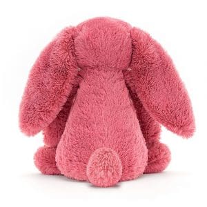 Jellycat Bashful Cerise Bunny Small – Bibi's Boutique