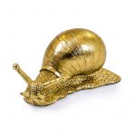 gold snail