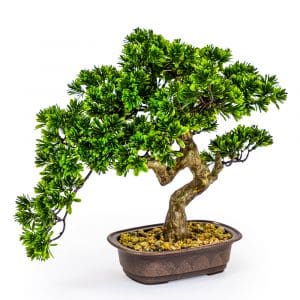 Artificial Medium Bonsai Tree in Black Pot