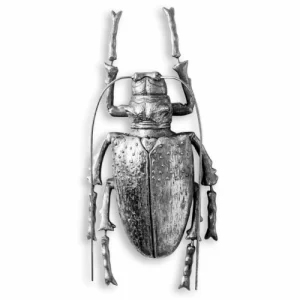 LARGE SILVER BEETLE WALL DECOR