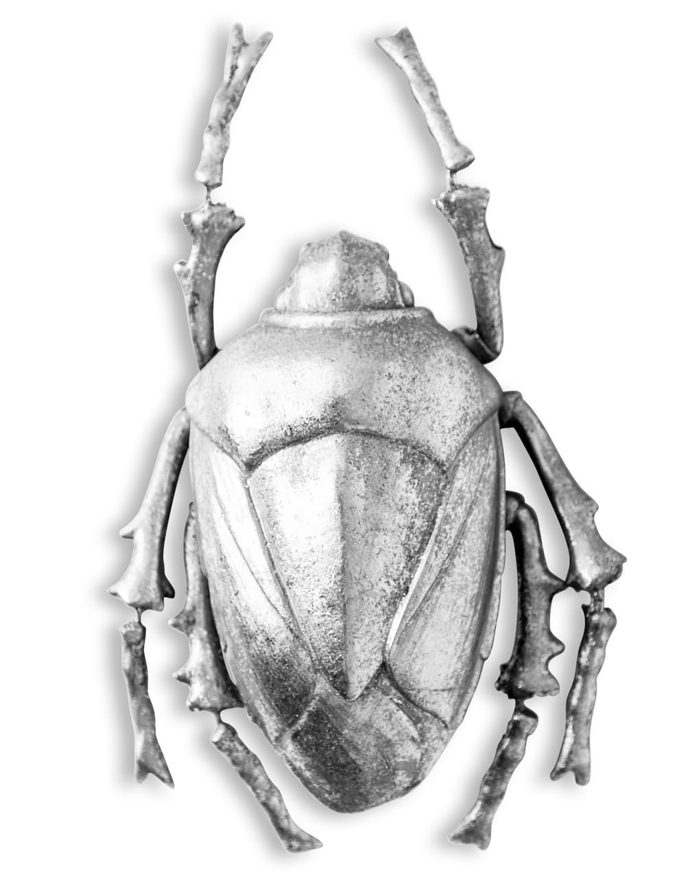 LARGE SILVER BEETLE WALL DECOR