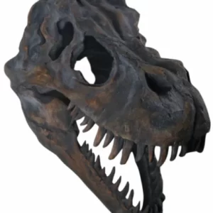Extra Large T-Rex Skull Wall Head Extra Large T-Rex Skull Wall HeadExtra Large T-Rex Skull Wall Head EXTRA LARGE T-REX SKULL WALL HEAD