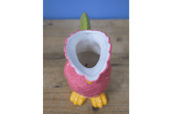 Polly Parrot Jug