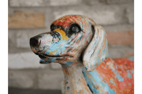 Sausage Dog