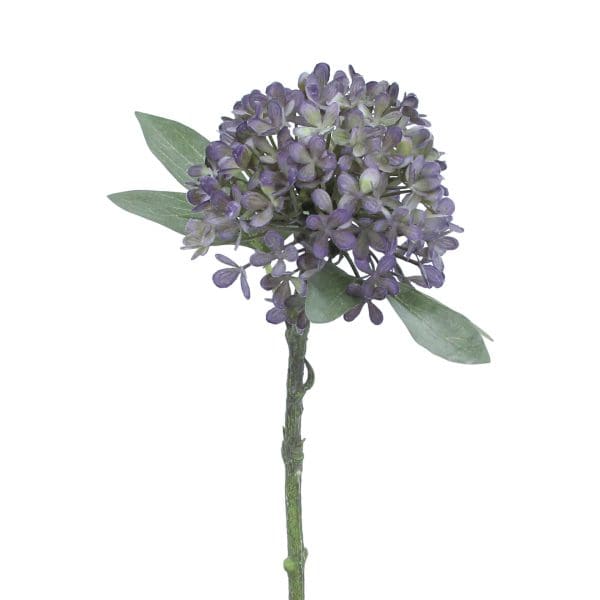Antique Purple Hydrangea