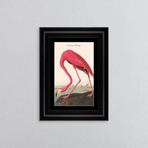 AMERICAN FLAMINGO FRAMED WALL ART