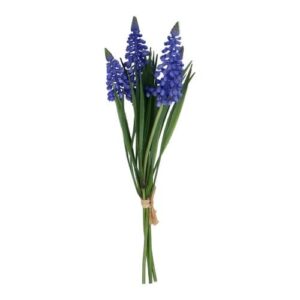 Bunch 27cm - Blue Muscari