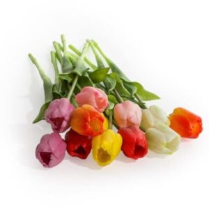 ASSORTED MIXED COLOUR TULIP STEMS