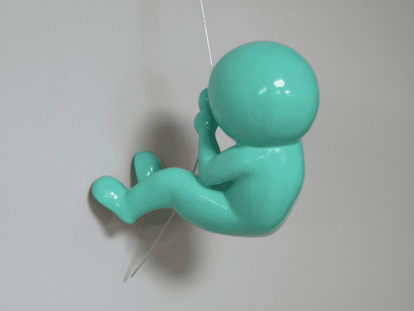 Abseiling Ball Head