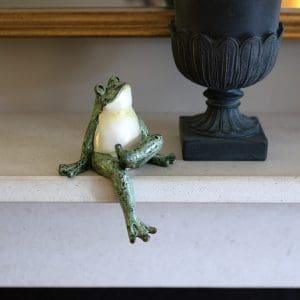 Shelf Frog