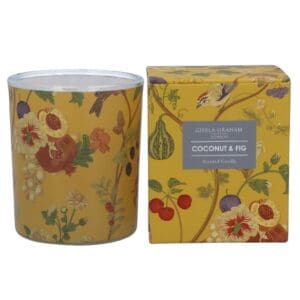 Gisela Graham Boxed Scented Candle - Coconut & Fig