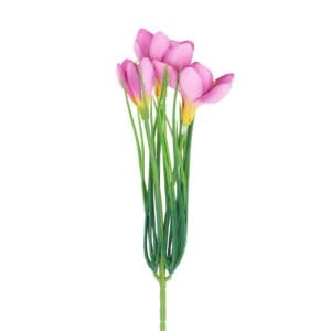 Spray 30cm - Pink Crocus