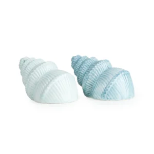 Shell Shaped Salt & Pepper Pots