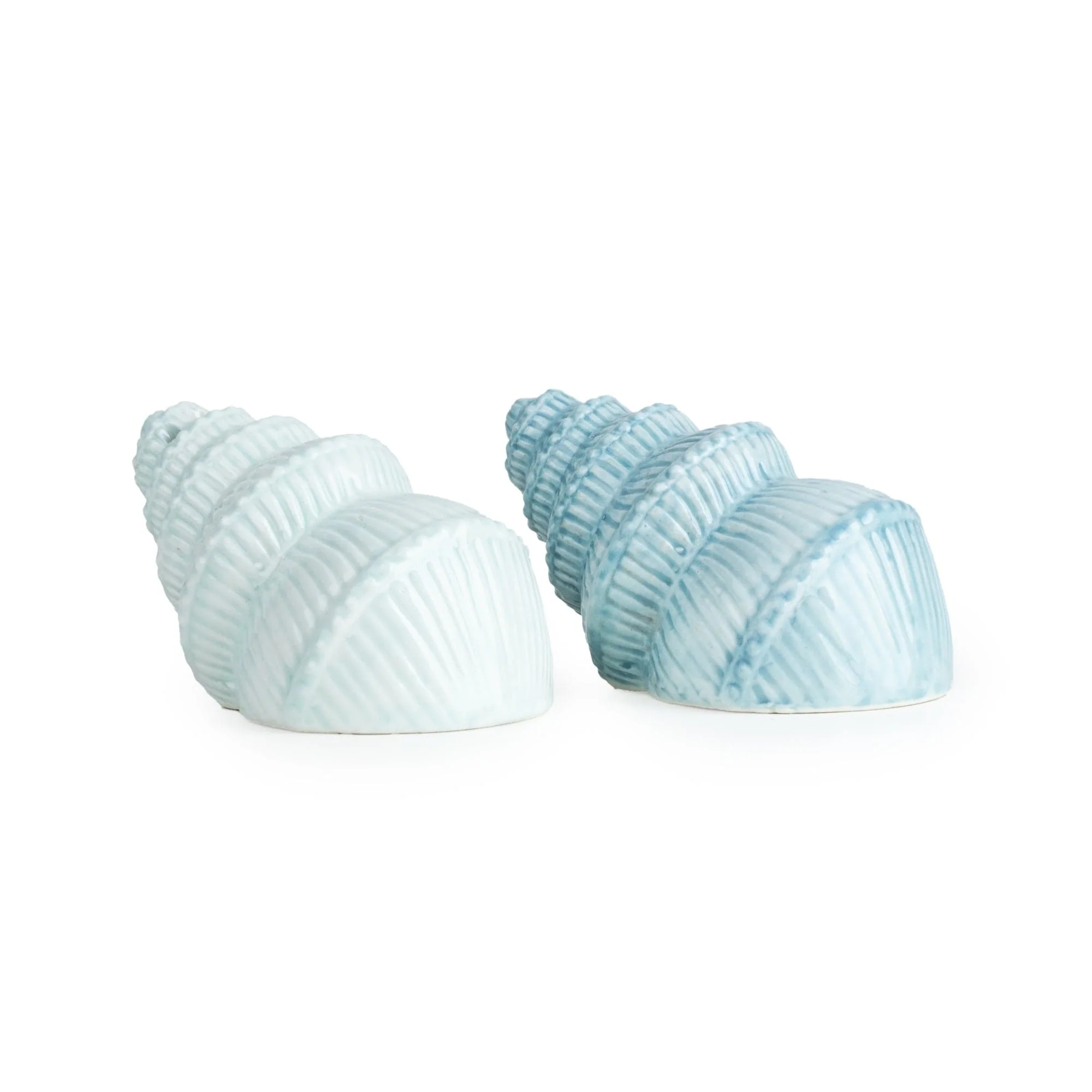 Shell Shaped Salt & Pepper Pots