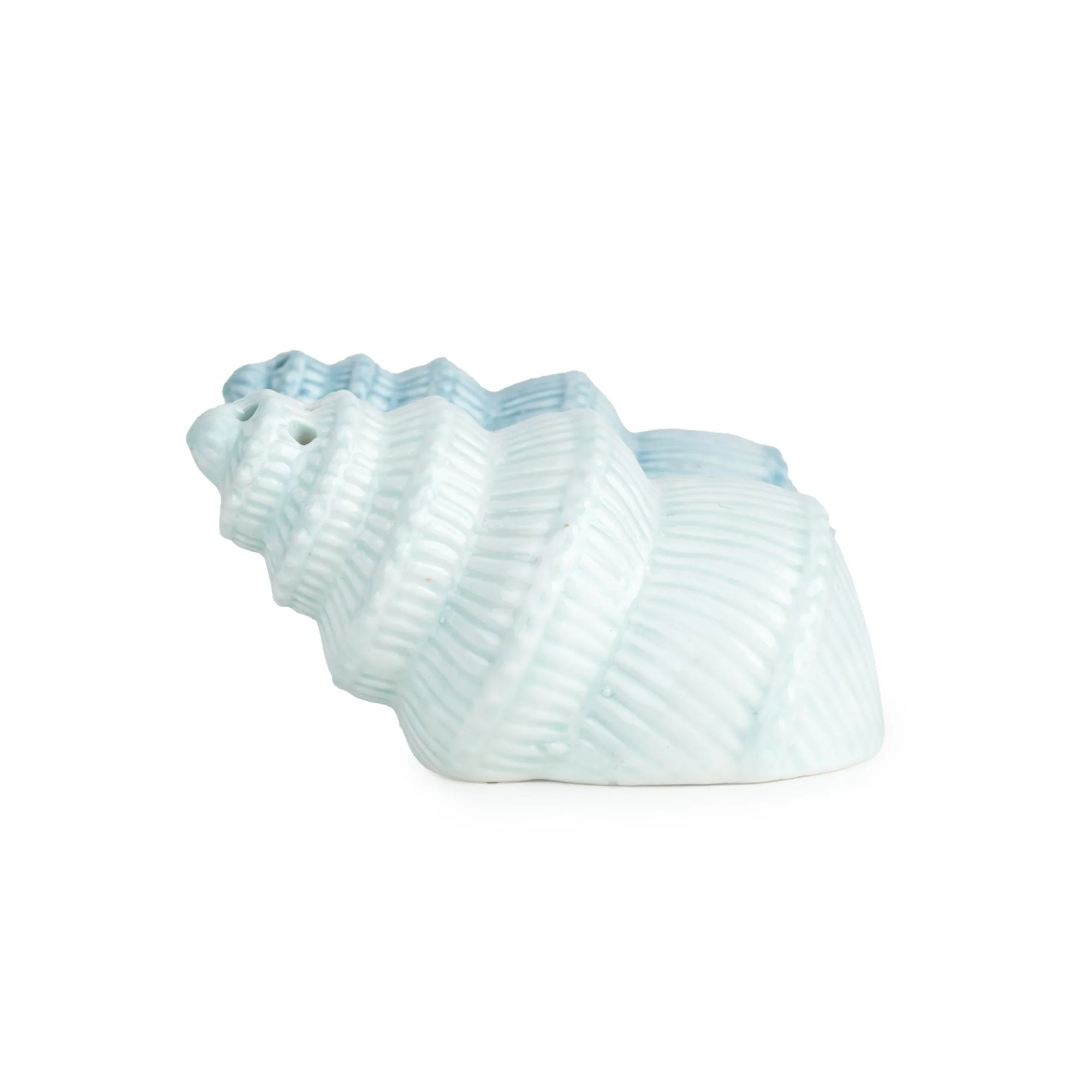 Shell Shaped Salt & Pepper Pots