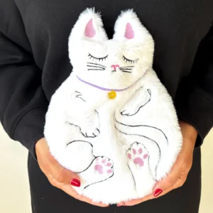 Sleeping Round Cat Hot Water Bottle